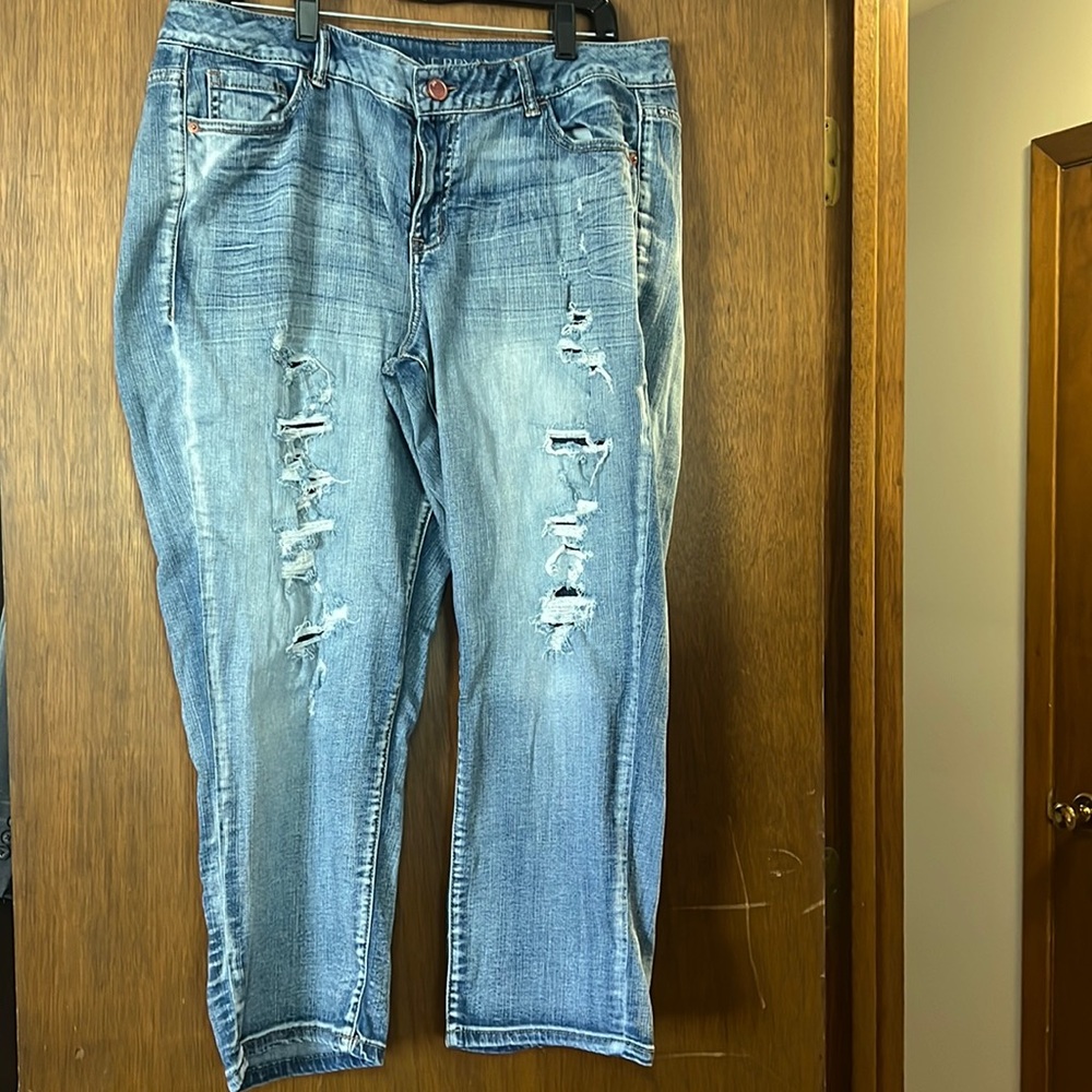 Lane Bryant distressed jean